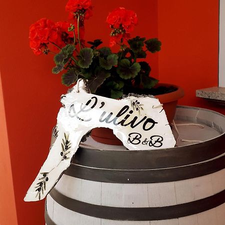 Beb Ulivo Bed & Breakfast Santa Giuletta Bagian luar foto