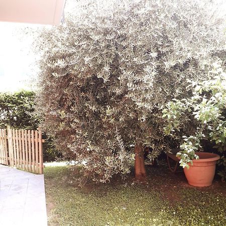 Beb Ulivo Bed & Breakfast Santa Giuletta Bagian luar foto