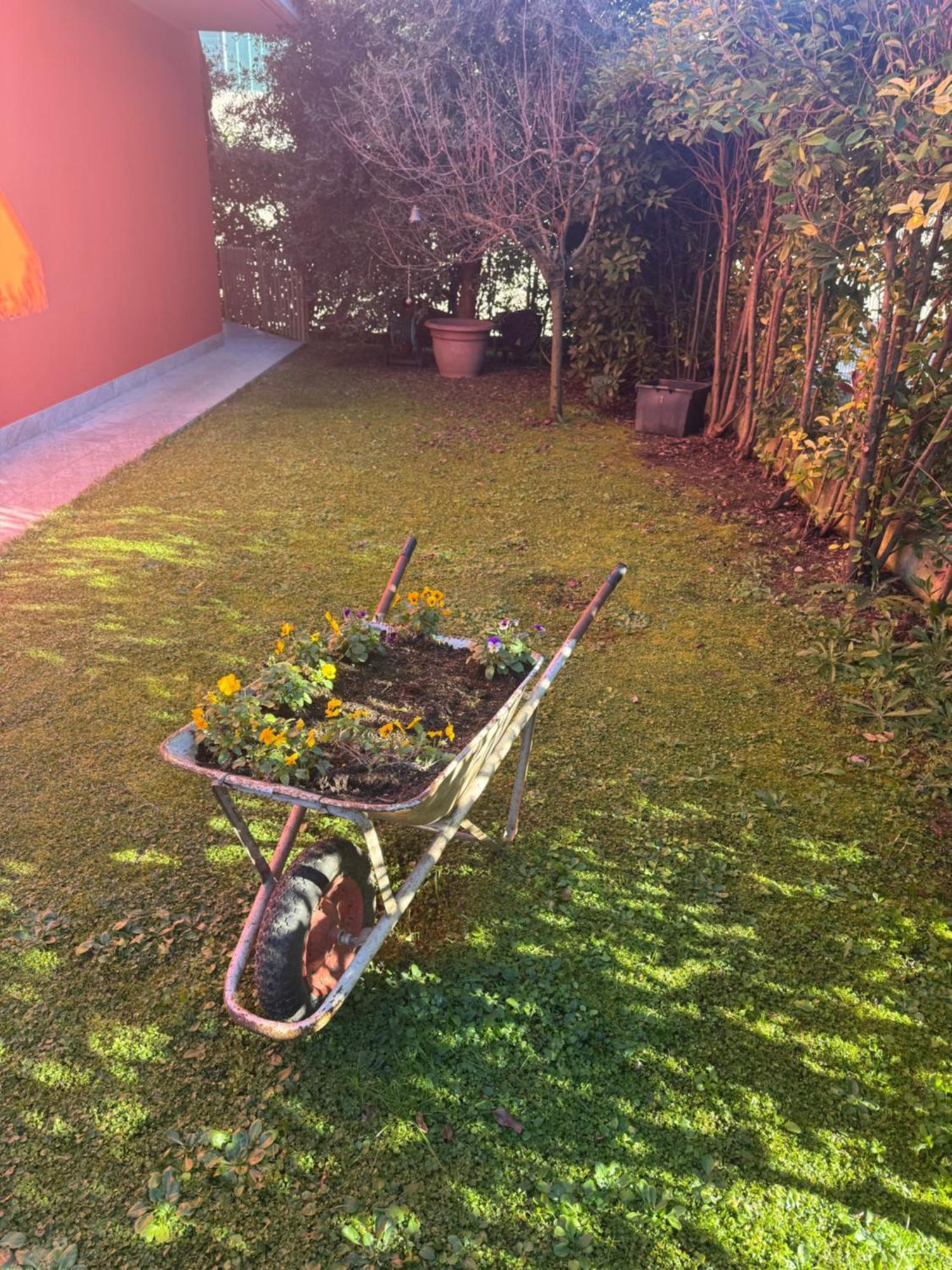 Beb Ulivo Bed & Breakfast Santa Giuletta Bagian luar foto
